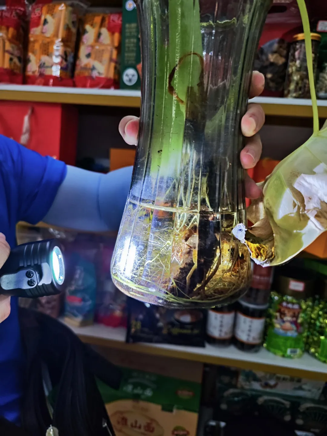 农贸市场防蚊灭蚊工作详细指南看这里→