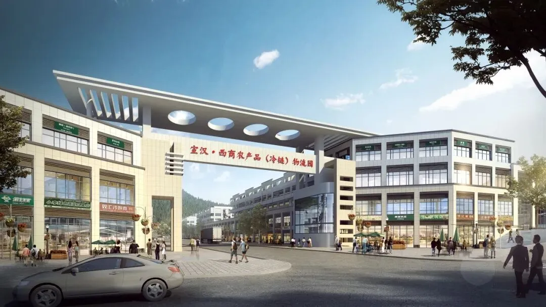 西商农博园|农批市场今日菜价一览(2026年4月13日)