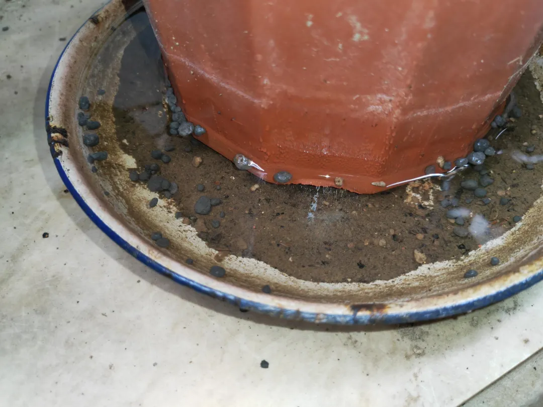 农贸市场防蚊灭蚊工作详细指南看这里→