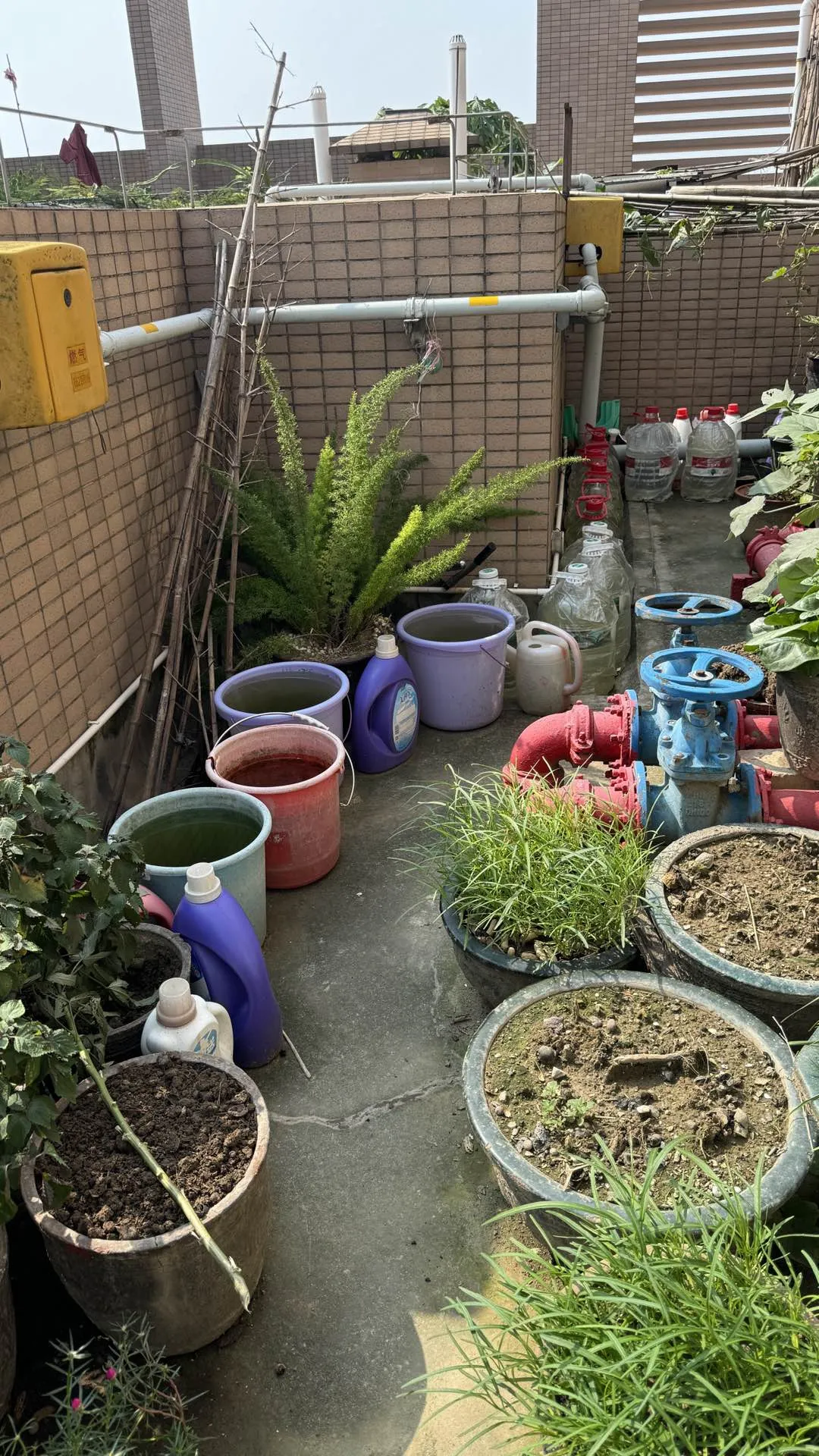 农贸市场防蚊灭蚊工作详细指南看这里→