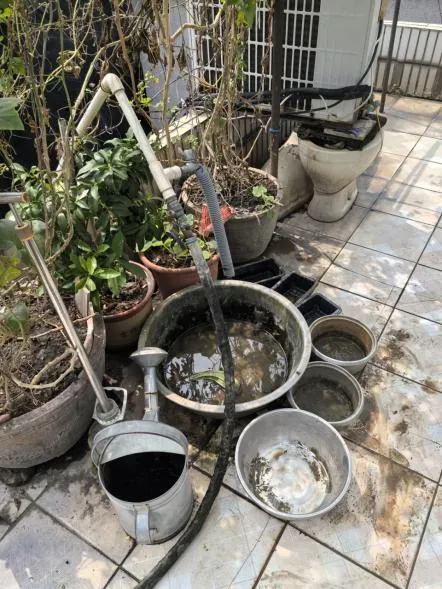 农贸市场防蚊灭蚊工作详细指南看这里→