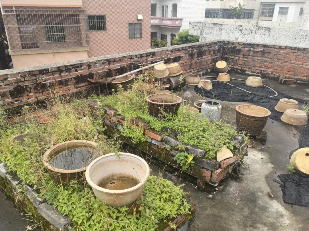 农贸市场防蚊灭蚊工作详细指南看这里→