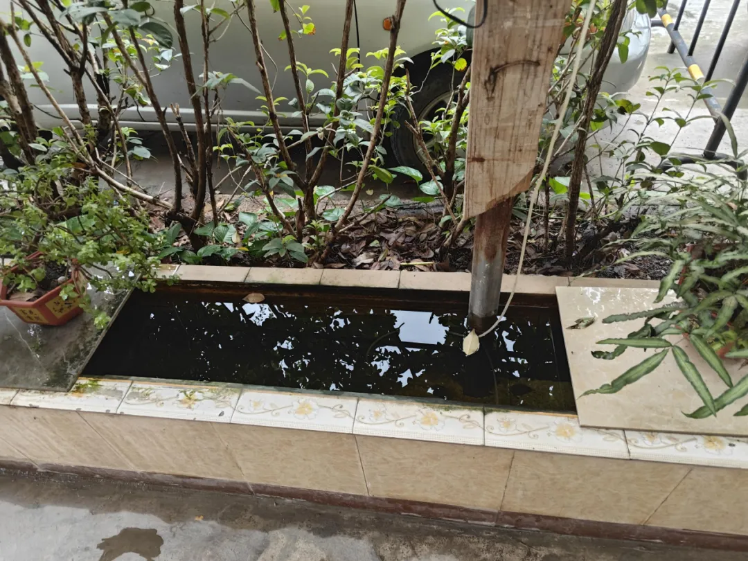 农贸市场防蚊灭蚊工作详细指南看这里→