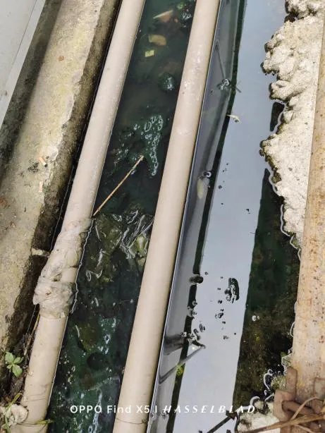 农贸市场防蚊灭蚊工作详细指南看这里→