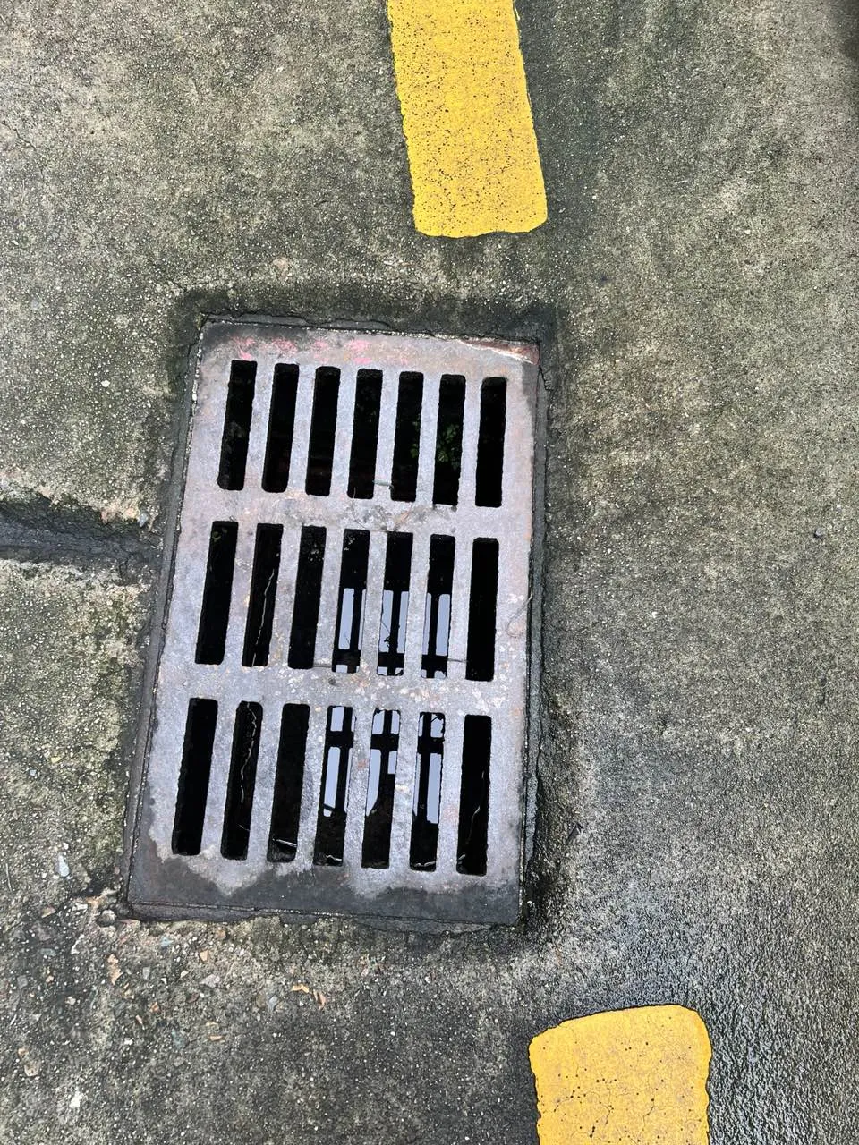 农贸市场防蚊灭蚊工作详细指南看这里→