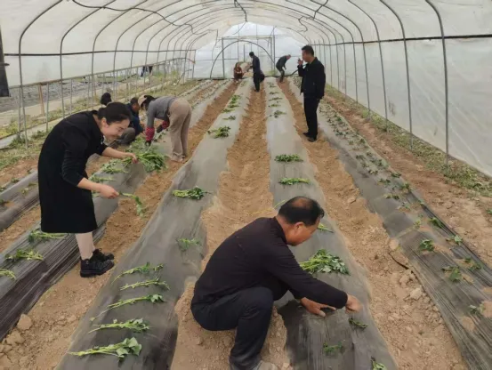 市场监管工作动态(第十三期)