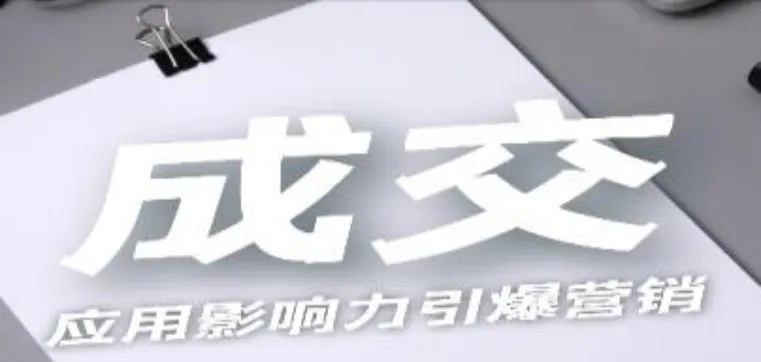 实战营销体系建设与应用专家——高鹏