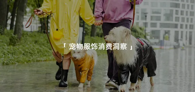 宠物服装,正在悄悄撑起一个百亿市场