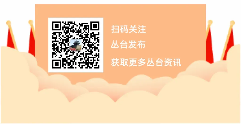 数字赋能兴业态 跨境扬帆拓市场——丛台区“一品一播+跨境电商”融合发展成效综述
