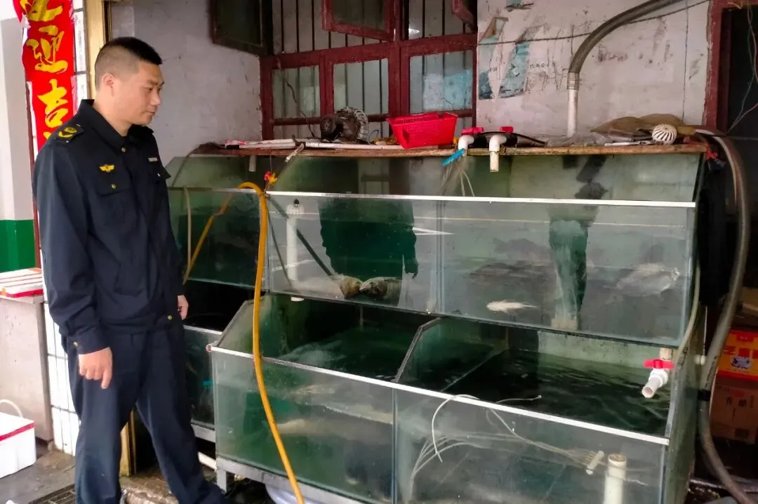 市场监管一周工作动态(4月6日-4月12日)