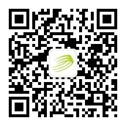 (2026.4.13)泰兴市场每日菜价