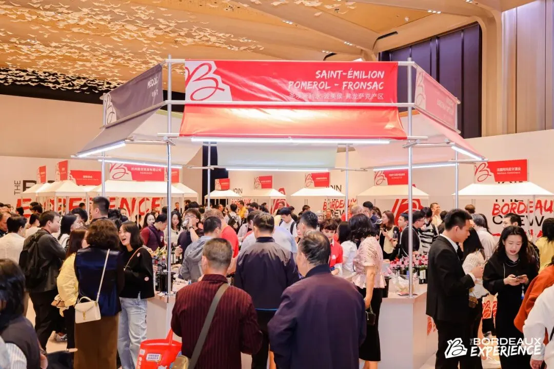 一起波尔多:老牌产区如何破解市场、气候与年轻消费难题?