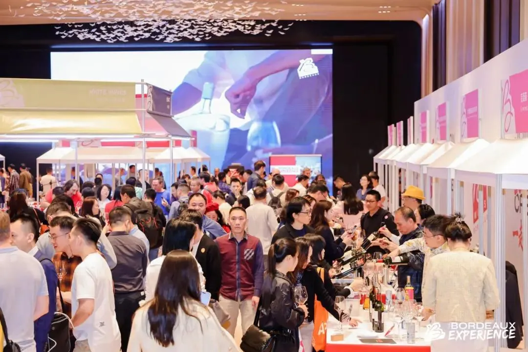 一起波尔多:老牌产区如何破解市场、气候与年轻消费难题?