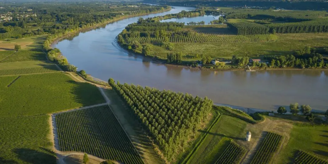 一起波尔多:老牌产区如何破解市场、气候与年轻消费难题?