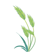 30岁+,开始明白,原来买房买车是社会营销出来的焦虑绑架,符合社会利益,是否符合个人利益,需要仔细斟酌