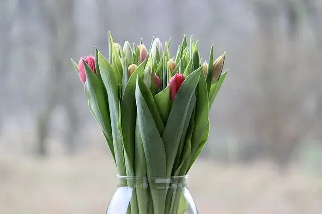 30岁+,开始明白,原来买房买车是社会营销出来的焦虑绑架,符合社会利益,是否符合个人利益,需要仔细斟酌