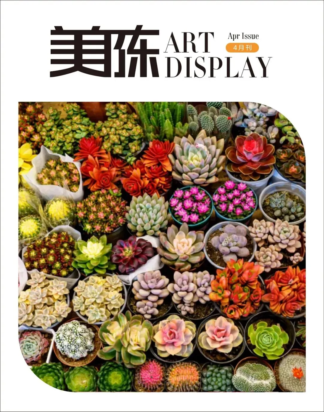 传统花鸟市场退场,购物中心如何接盘“疗愈需求”?