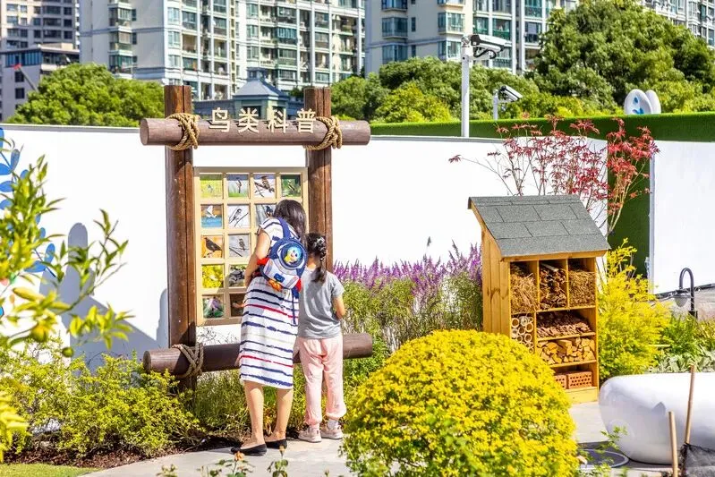 传统花鸟市场退场,购物中心如何接盘“疗愈需求”?