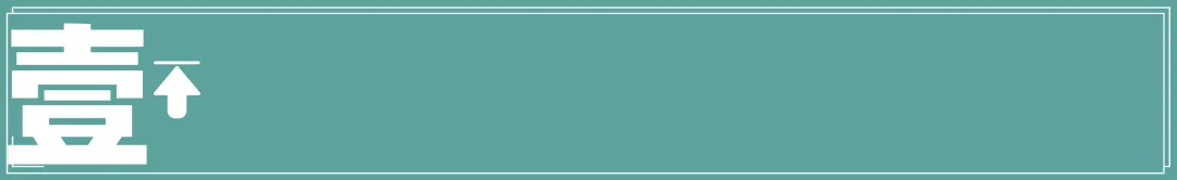 传统花鸟市场退场,购物中心如何接盘“疗愈需求”?