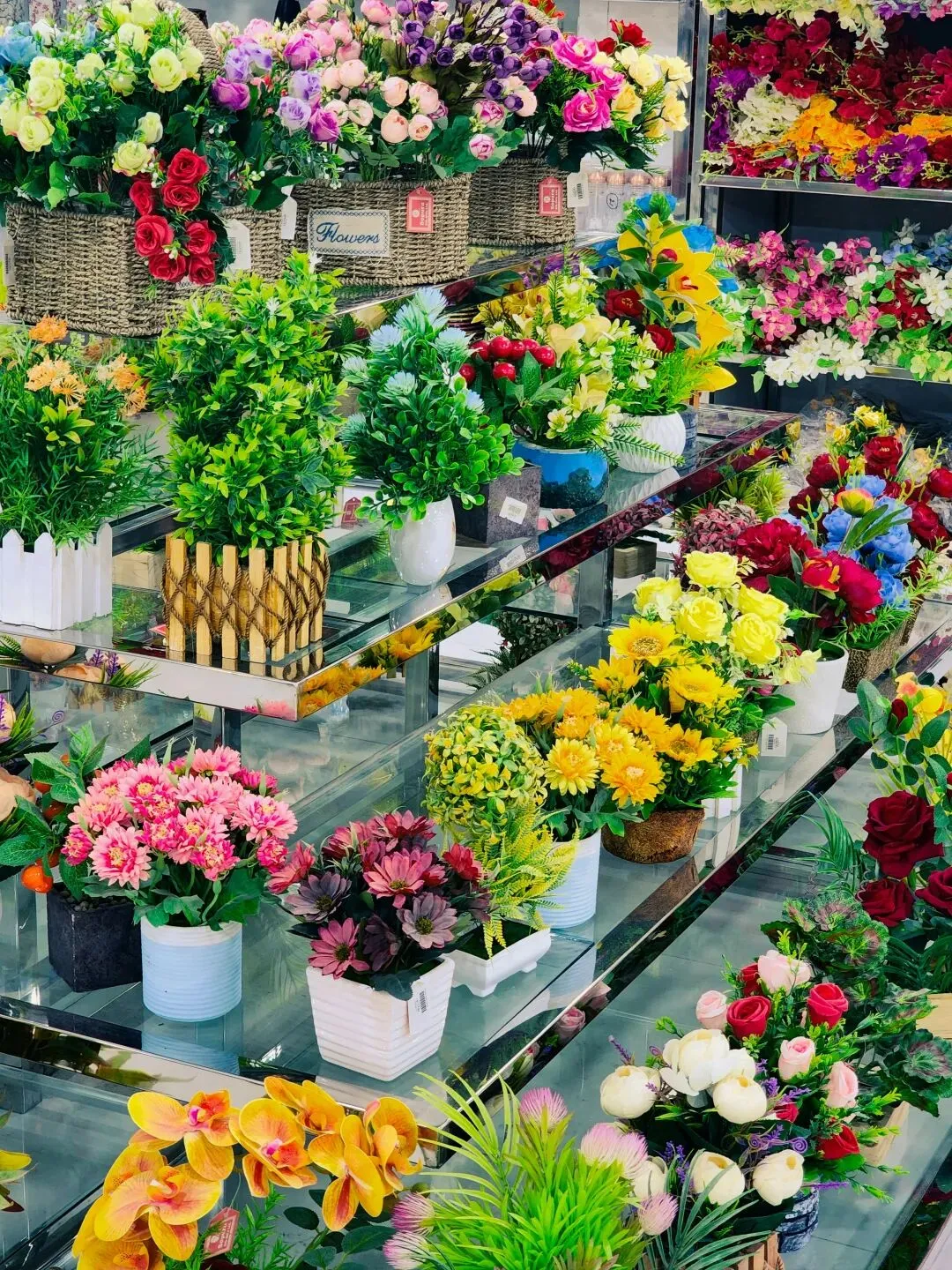 传统花鸟市场退场,购物中心如何接盘“疗愈需求”?