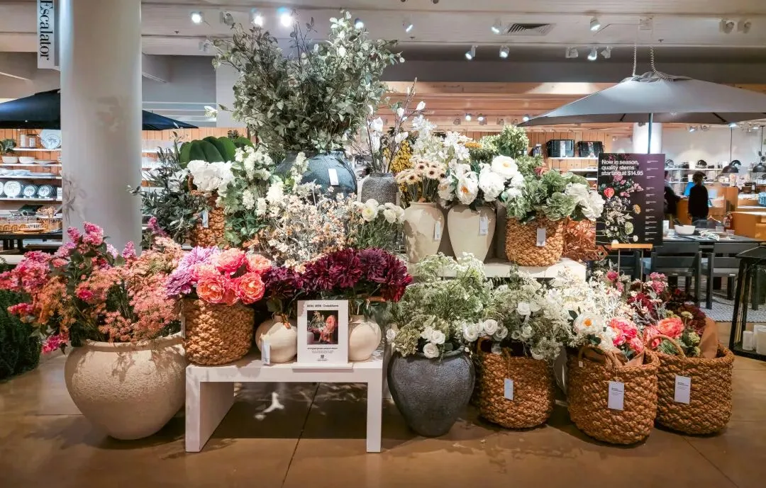 传统花鸟市场退场,购物中心如何接盘“疗愈需求”?