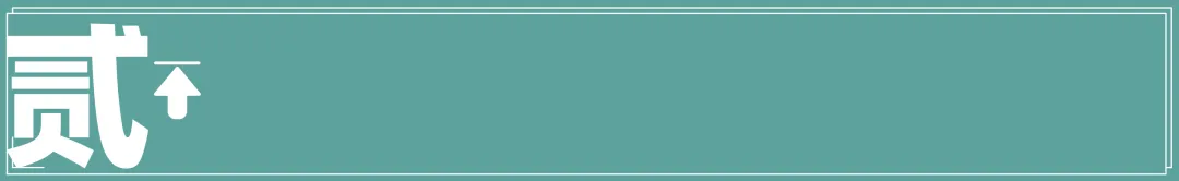 传统花鸟市场退场,购物中心如何接盘“疗愈需求”?