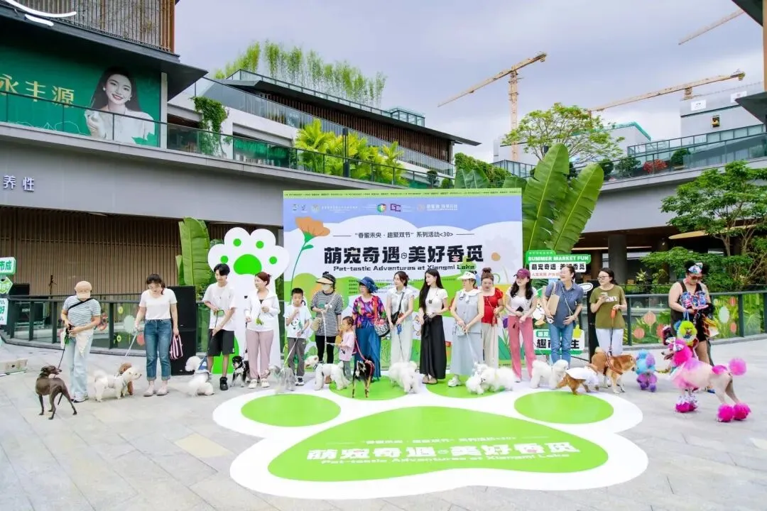 传统花鸟市场退场,购物中心如何接盘“疗愈需求”?