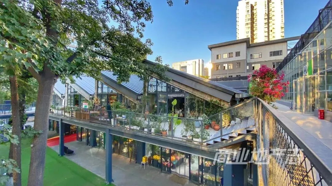 传统花鸟市场退场,购物中心如何接盘“疗愈需求”?