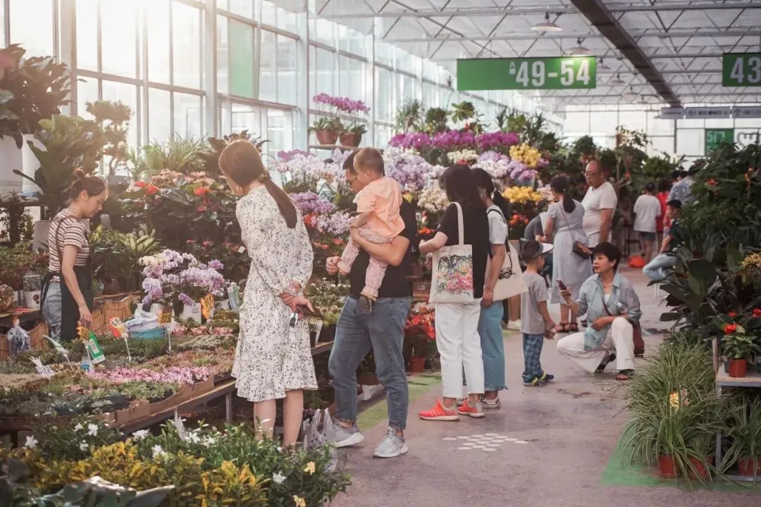 传统花鸟市场退场,购物中心如何接盘“疗愈需求”?
