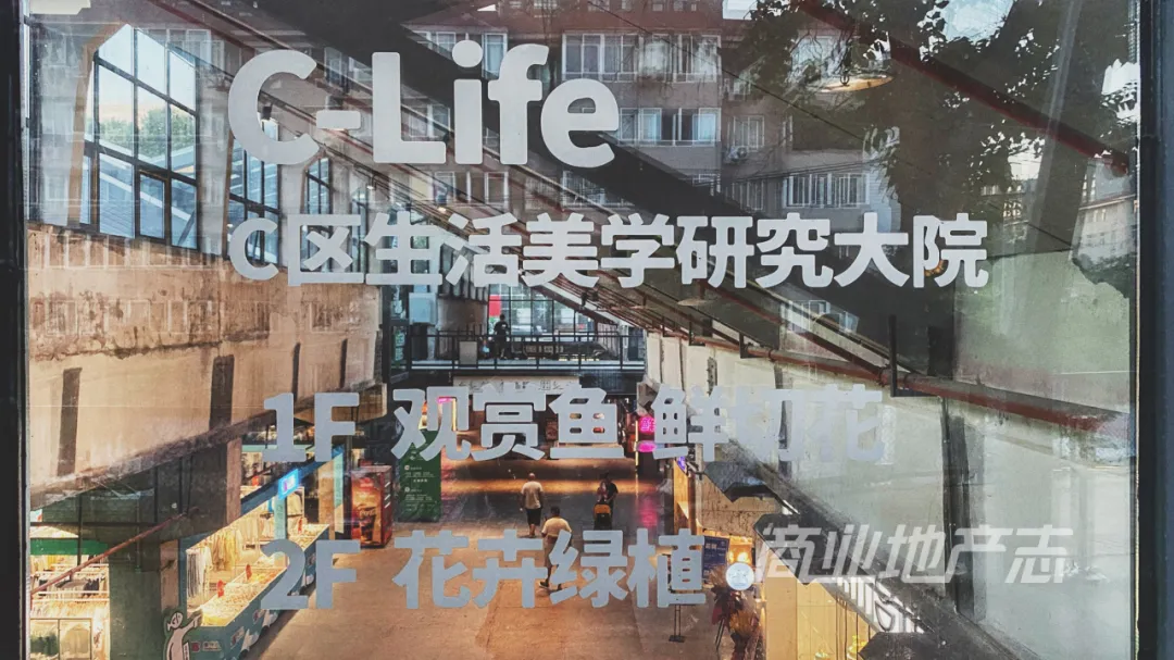 传统花鸟市场退场,购物中心如何接盘“疗愈需求”?