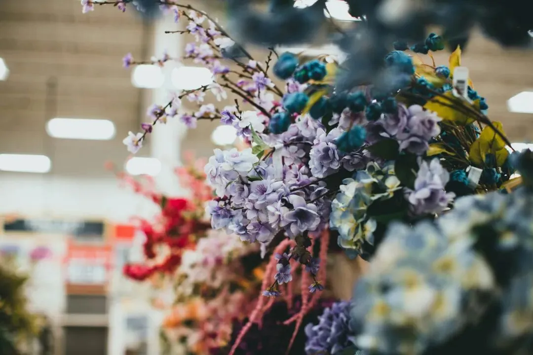 传统花鸟市场退场,购物中心如何接盘“疗愈需求”?