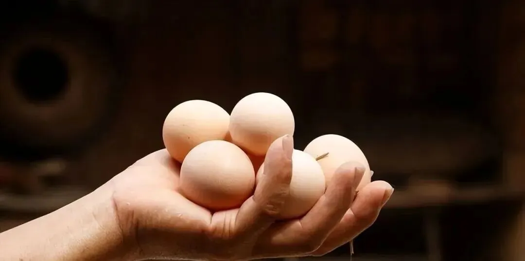 太可怕了!大量激素蛋流入市场?提醒:3种鸡蛋,尽量少吃或不吃