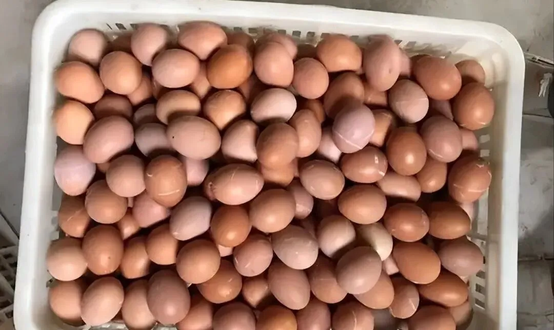 太可怕了!大量激素蛋流入市场?提醒:3种鸡蛋,尽量少吃或不吃