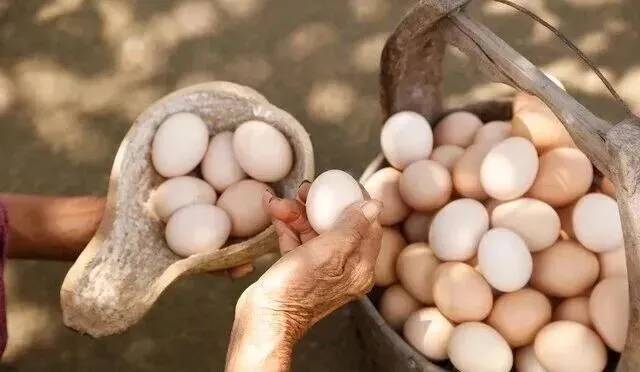 太可怕了!大量激素蛋流入市场?提醒:3种鸡蛋,尽量少吃或不吃