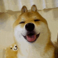 英国 曼彻斯特大学 国际时尚营销硕士录取 一枚