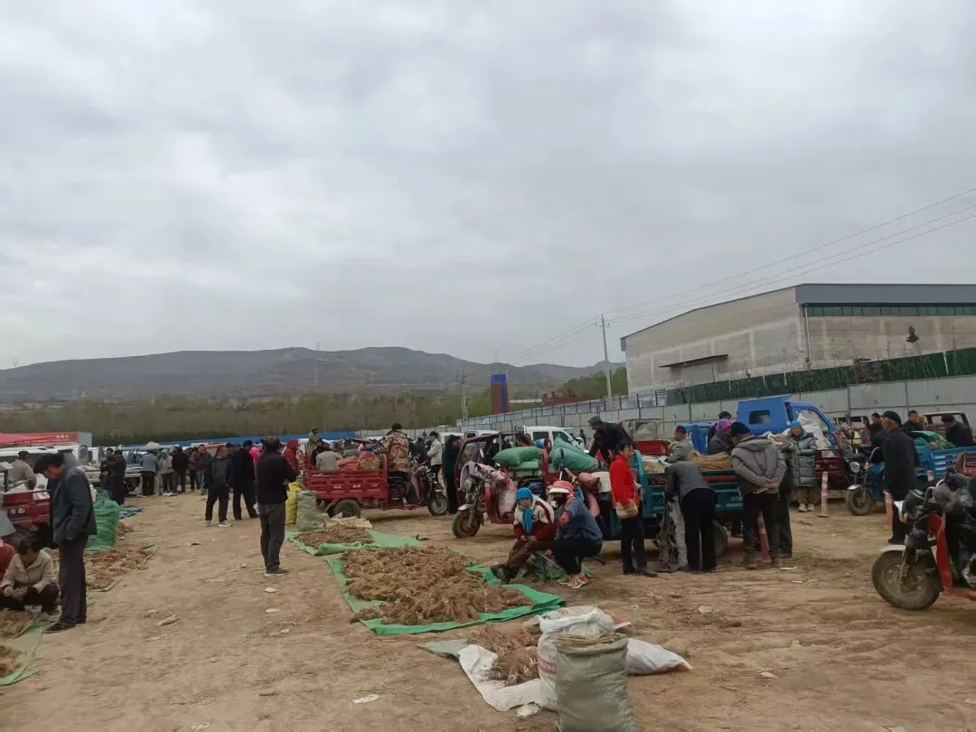 2026年4月13市场快讯