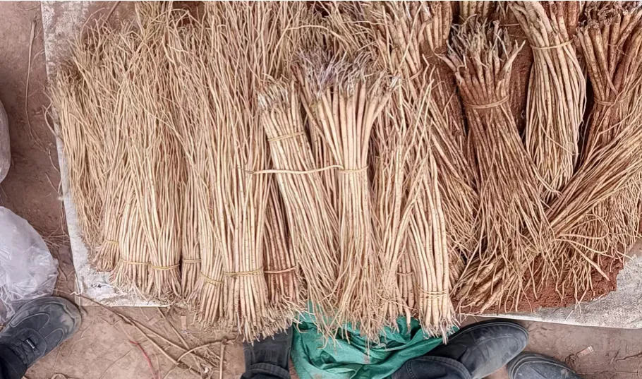 2026年4月13市场快讯