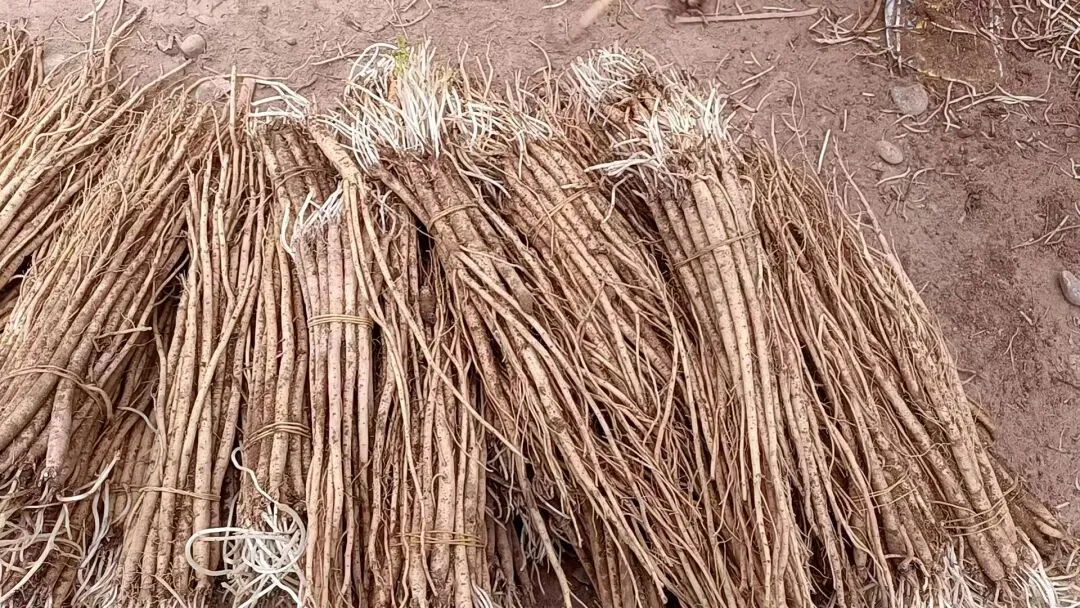 2026年4月13市场快讯