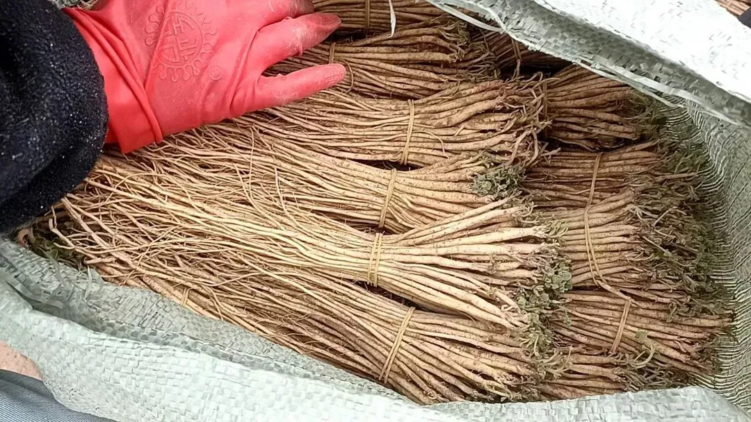 2026年4月13市场快讯