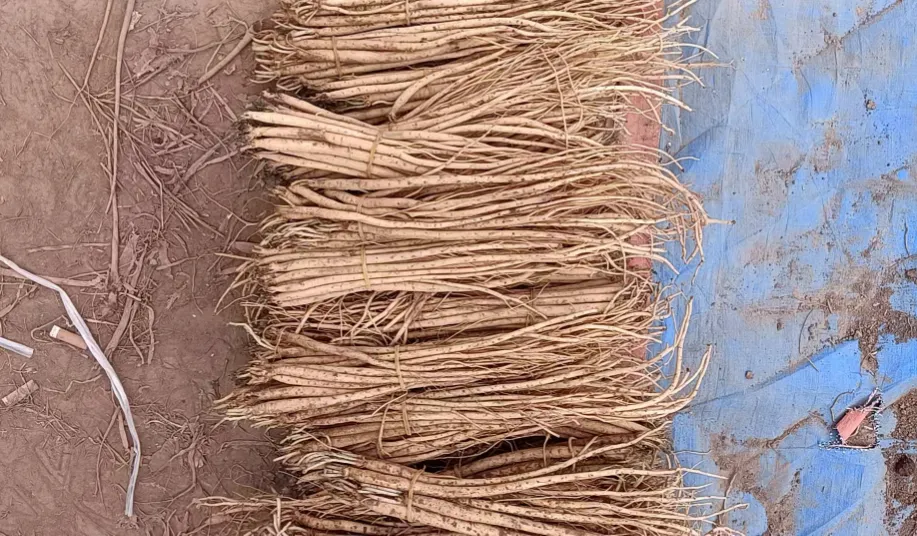 2026年4月13市场快讯