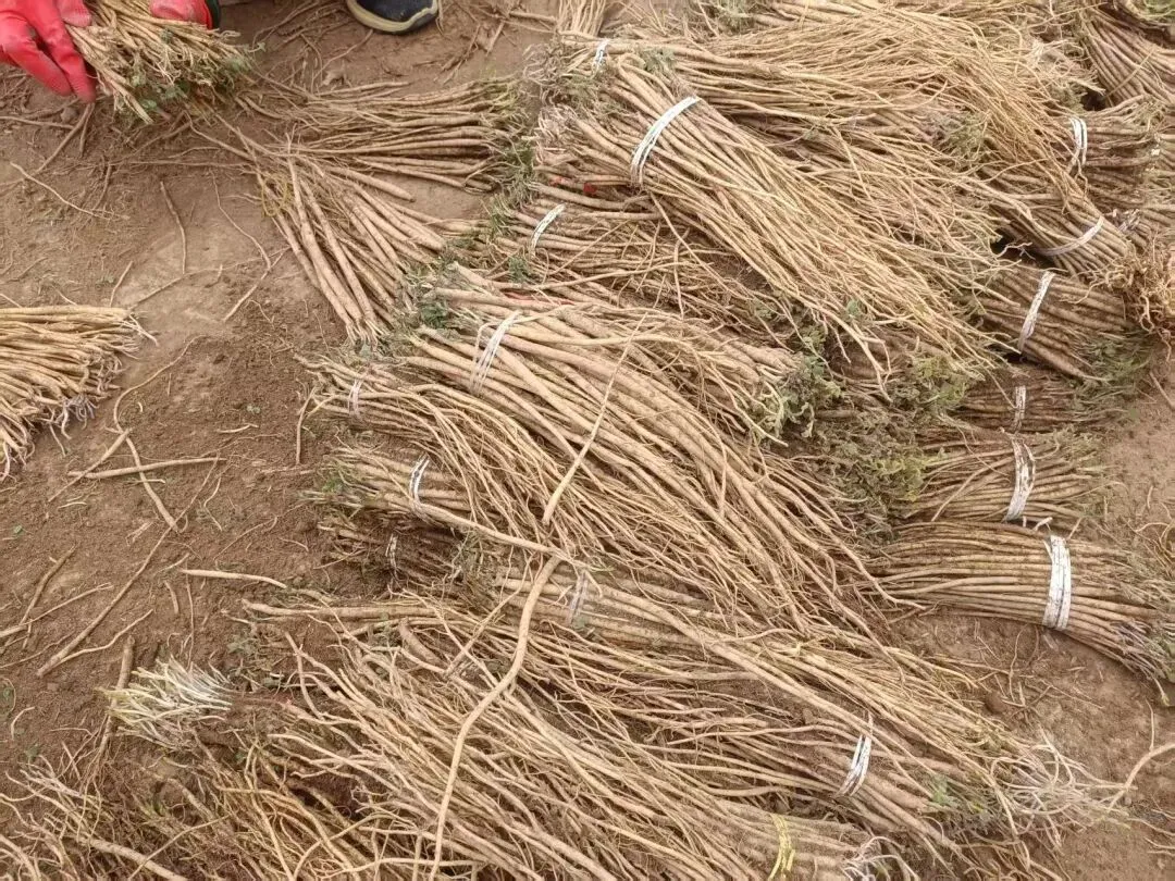 2026年4月13市场快讯