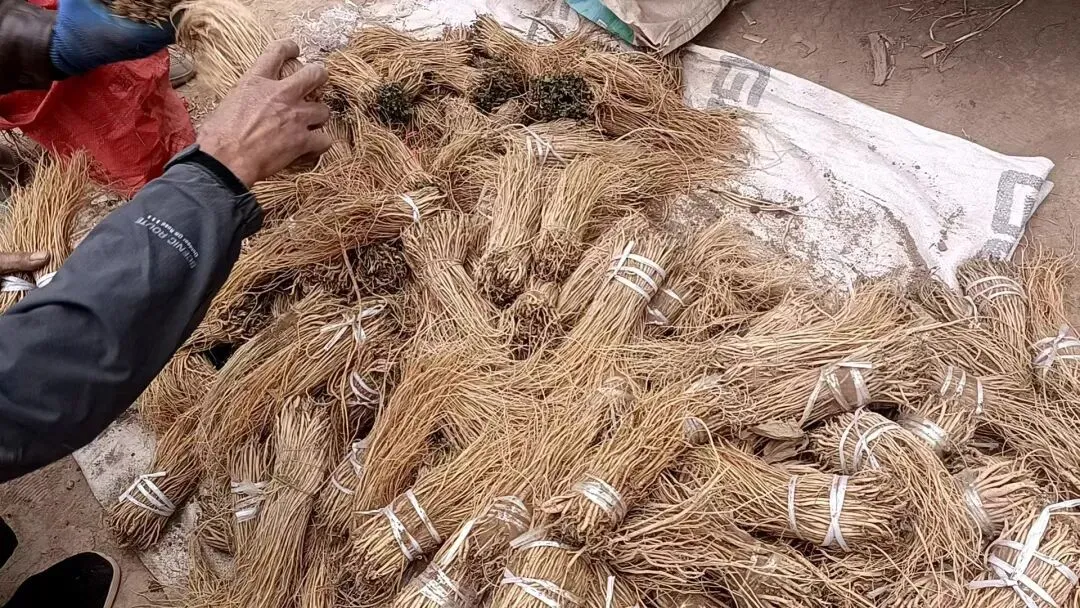 2026年4月13市场快讯