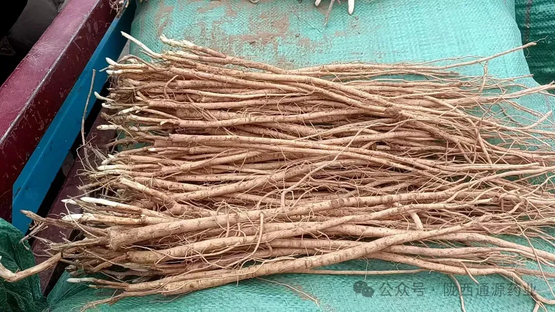 2026年4月13市场快讯