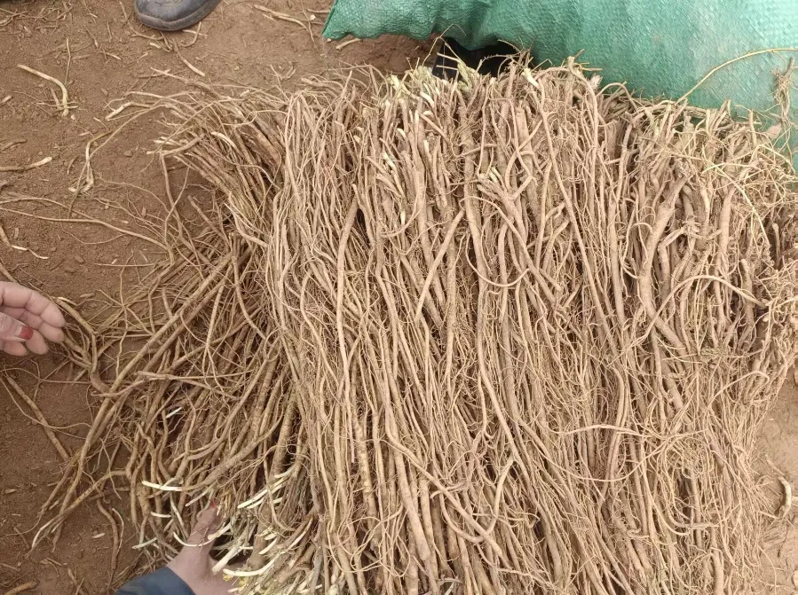 2026年4月13市场快讯