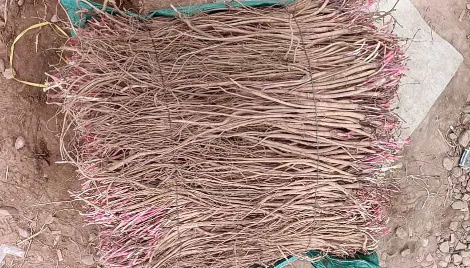 2026年4月13市场快讯