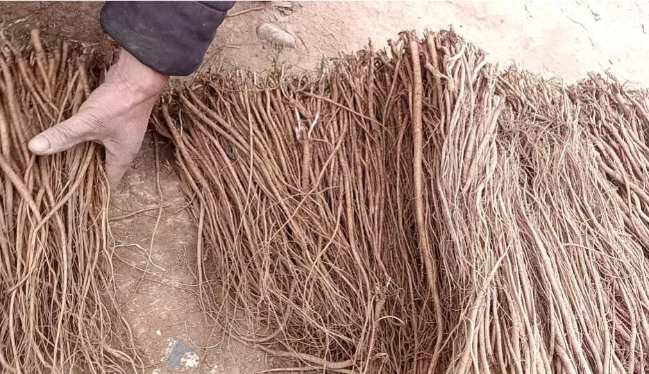 2026年4月13市场快讯