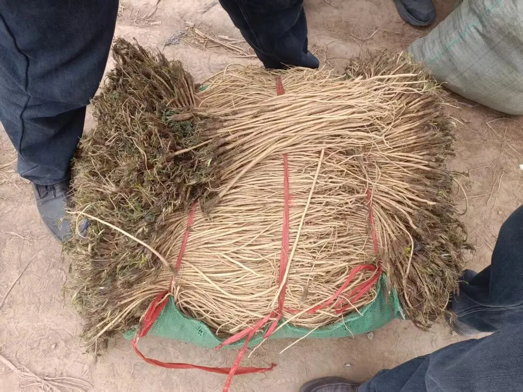 2026年4月13市场快讯