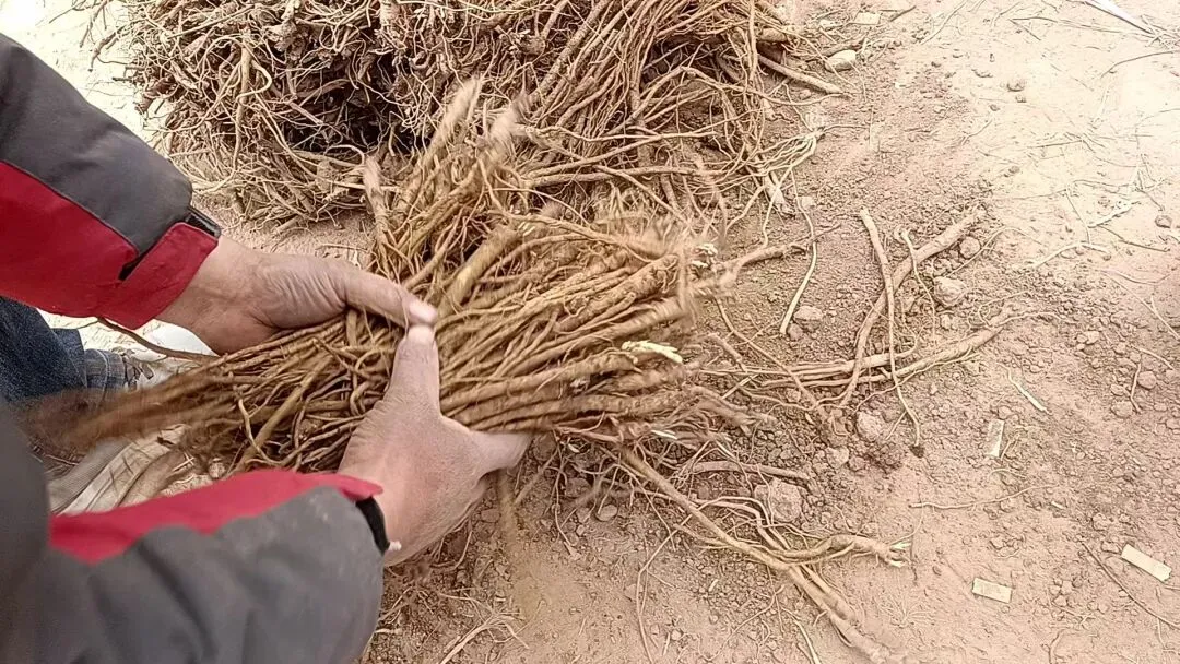 2026年4月13市场快讯