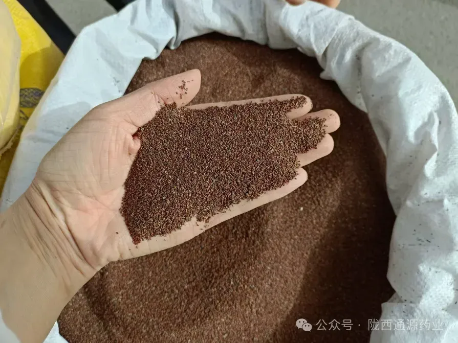 2026年4月13市场快讯