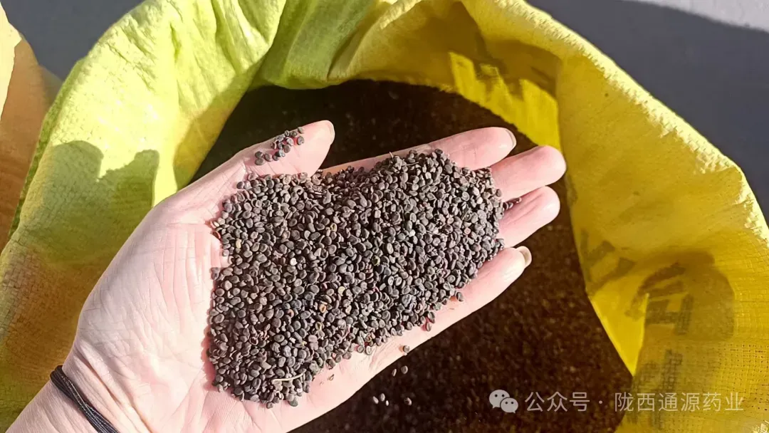 2026年4月13市场快讯